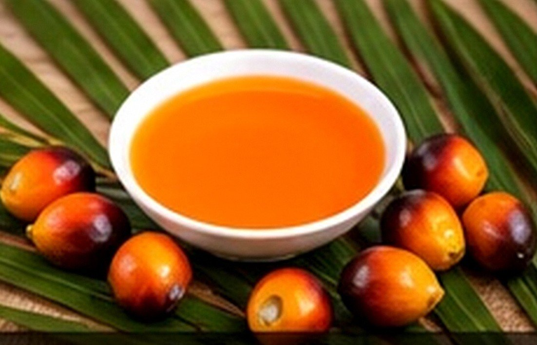 Edible Oils